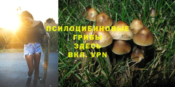 гидропоника Алзамай
